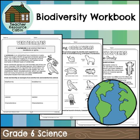 Section 6 3 Biodiversity Workbook Answer Key