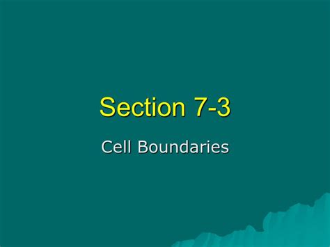 Section 7 3 Cell Boundaries Amp Review Flashcards Cellular Boundaries Worksheet Answers - Cellular Boundaries Worksheet Answers