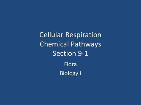 Section 9 1 Chemical Pathways Answer Key