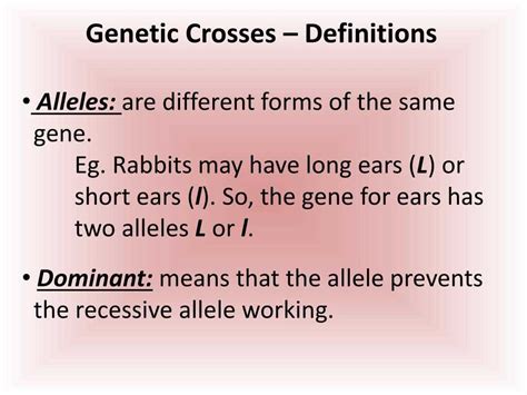 Section 9 2 Review Genetic Crosses Worksheet Answers Cross Sections Worksheet - Cross Sections Worksheet
