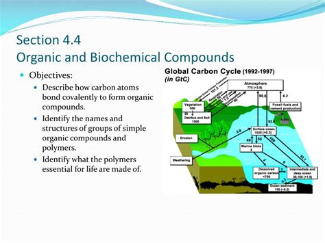 section organic and biochemical compounds answer key