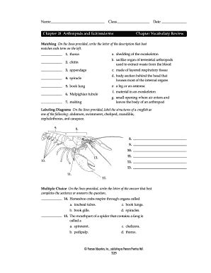 section review 28 3 arthropods answers