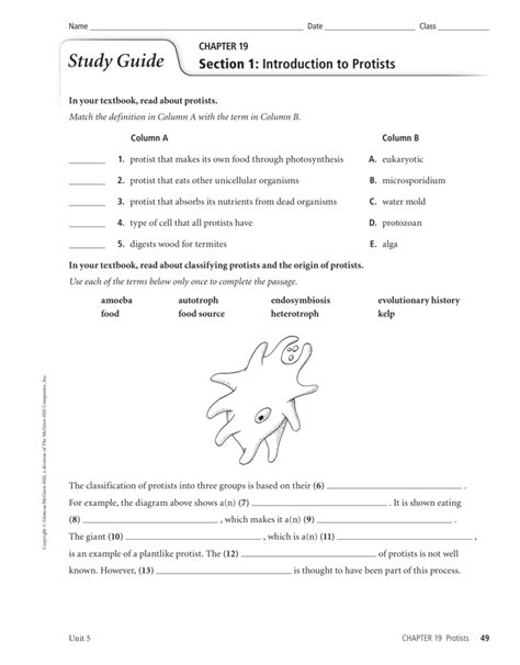 Full Download Section 1 Introduction To Protists Study Guide 