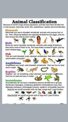 Read Online Section 1 Reptiles Study Guide 