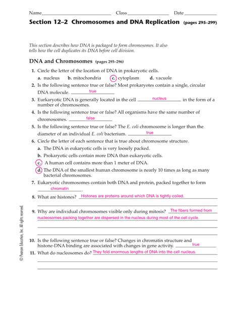 Full Download Section 12 2 Chromosomes And Dna Replication Answers 