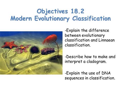 Read Section 18 2 Modern Evolutionary Answers 