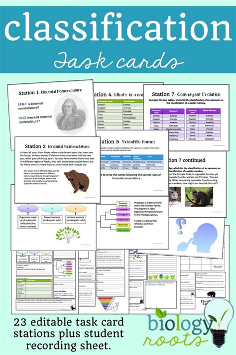 Full Download Section 2 Modern Classification Study Guide 