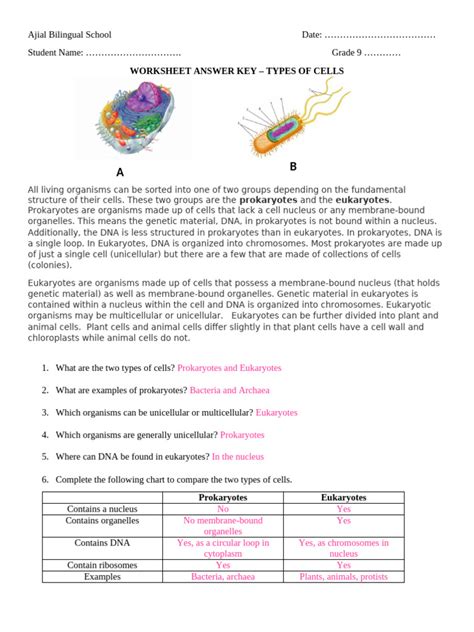 Read Online Section 23 1 Review Prokaryotes Answer Key Bettxt 