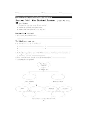 Full Download Section 36 1 The Skeletal System Workbook Answers 