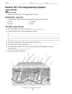 Full Download Section 36 3 The Integumentary System Answers 