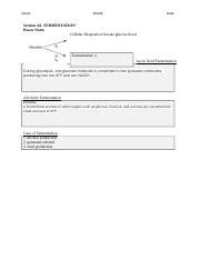 Download Section Fermentation 4 6 Power Notes 