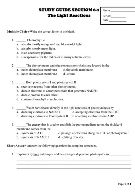 Read Online Section Quick Check Chapter 8 Section 2 Photosynthesis Answer Key Pdf 