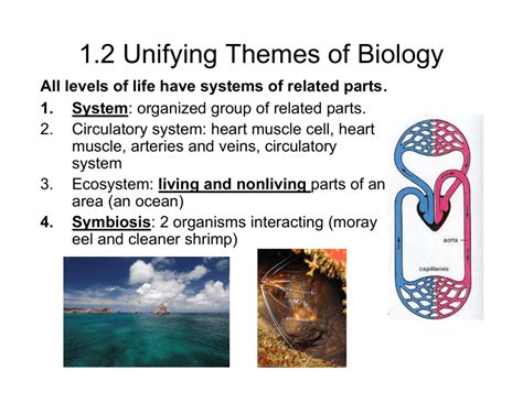 Read Section Unifying Themes Of Biology 1 2 Study Guide 