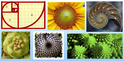 secuencia de fibonacci en