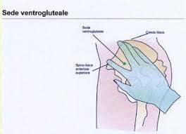 sedi per intramuscolo