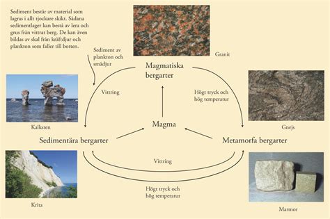 sedimentära bergarter bildas hur