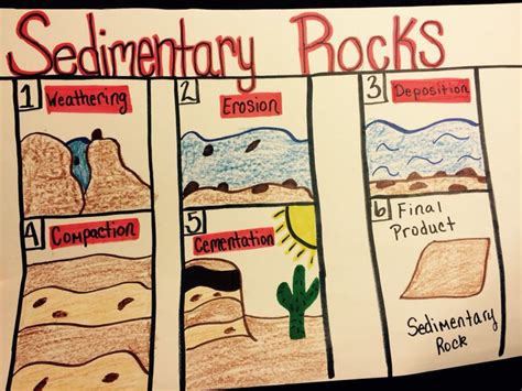 Sedimentary Rocks Science Notes And Projects Science Of Rocks - Science Of Rocks