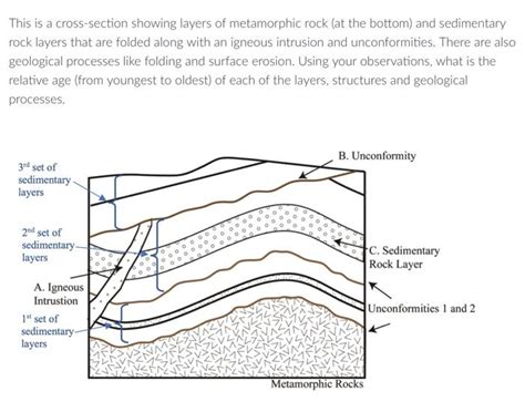Read Sedimentary And Metamorphic Rocks Study Guide Answer 