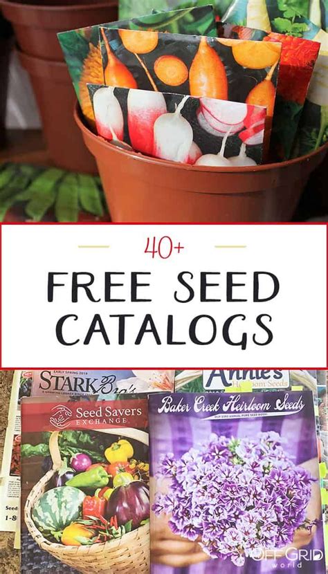 Seed Catalogues Free