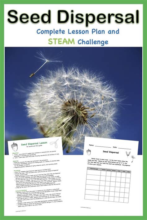 Seed Dispersal Lesson Plan Seed Dispersal Worksheet 2nd Grade - Seed Dispersal Worksheet 2nd Grade
