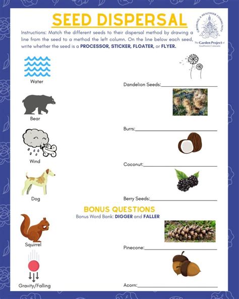 Seed Dispersal Worksheet 2nd Grade   Seed Sorting How Do Seeds Travel Lesson Plan - Seed Dispersal Worksheet 2nd Grade