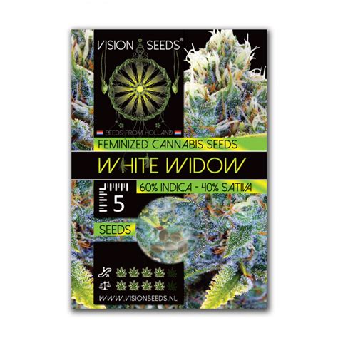 seeds of vision