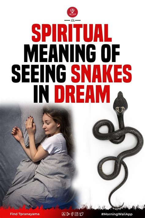 seeing of snake in dream