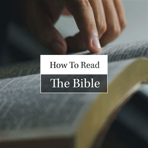 seeking to read the bible, would like to know what edition i should ...