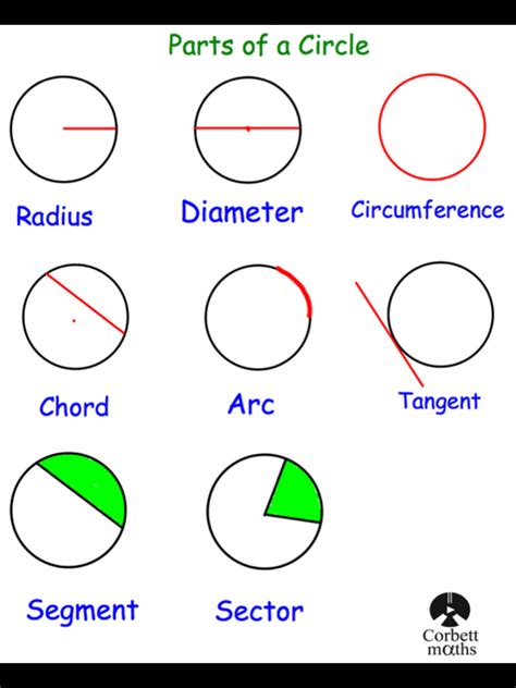 Segment Of A Circle Gcse Maths Steps Examples Segments In Circles Worksheet - Segments In Circles Worksheet