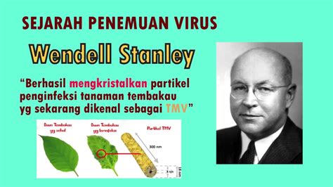 sejarah penemuan virus