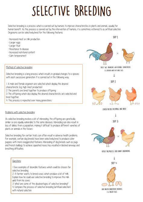Selective Breeding Answers