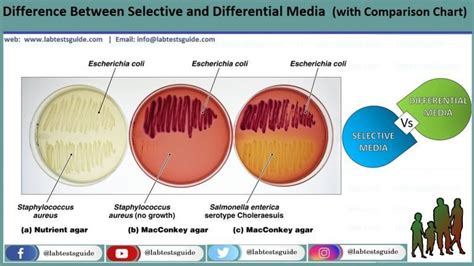 Selective Or Differential Media