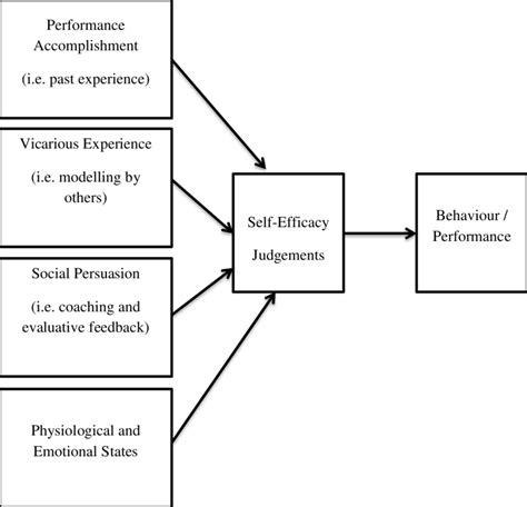 Self Cognitive Theory