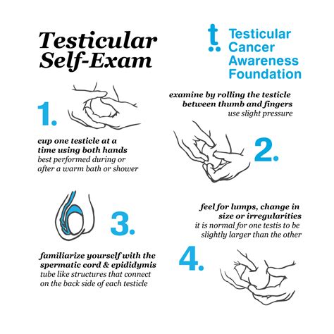 self testicular exam handout pdf