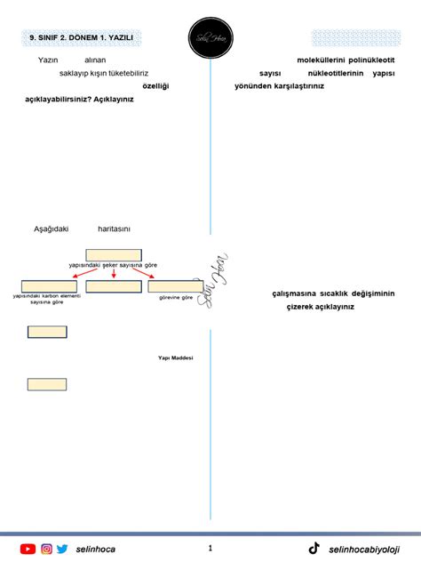 Selin Hoca Pdf