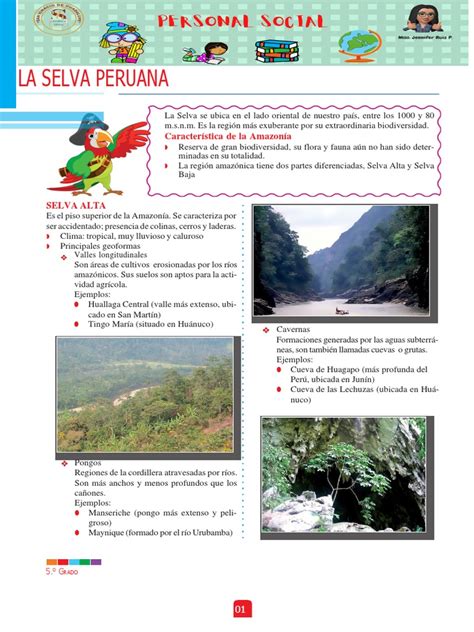 Selva Peruana Resumen