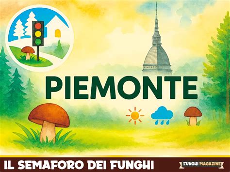 Semaforo Funghi Piemonte