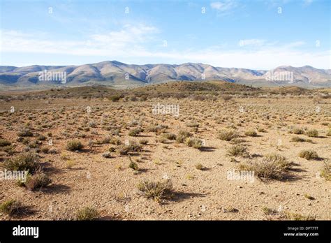 Semi Desert Climate