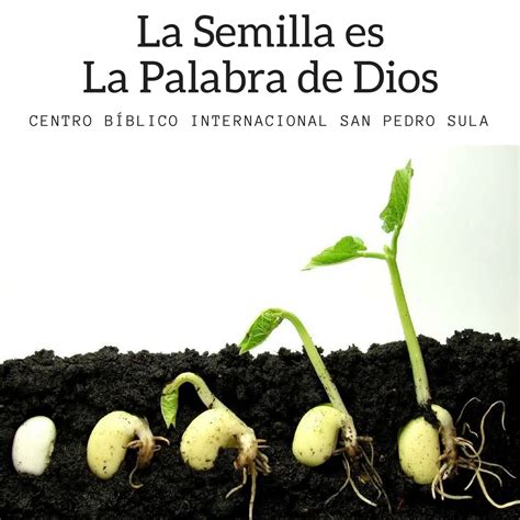 Semilla De Dios La