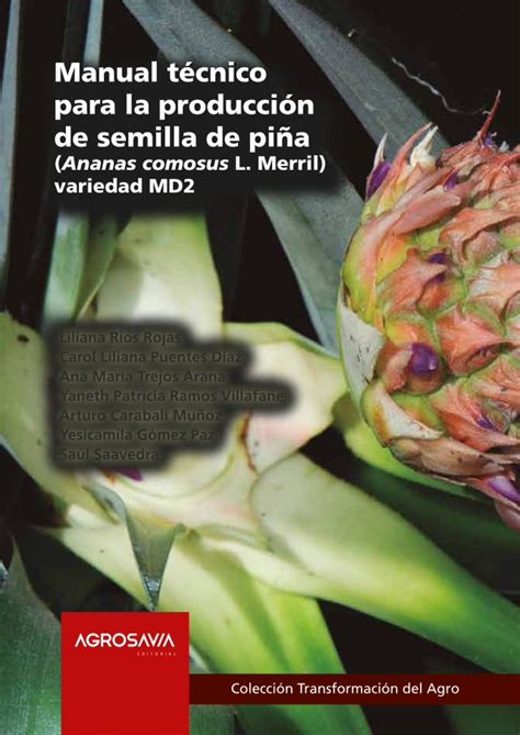 Semilla De Piña