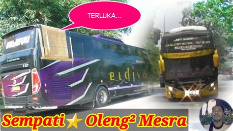 SEMPATI STAR MEDAN - Tempatnya Bus Keren. Pool Sempati Star. Aktivitas Bus