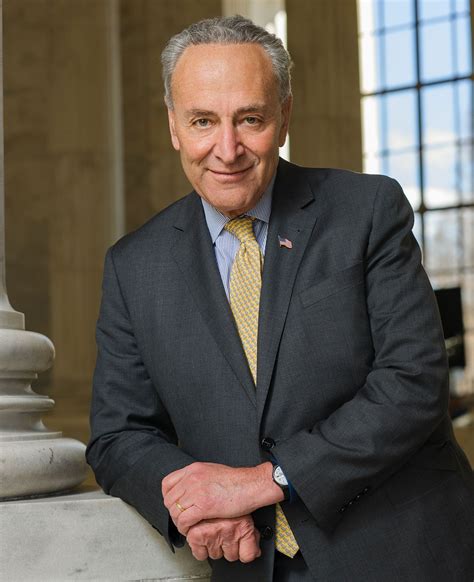sen schumer biography