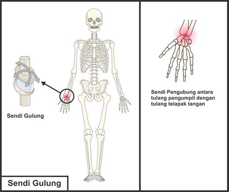 sendi gulung | PDF Model No NNCT65MB NNCT66MB