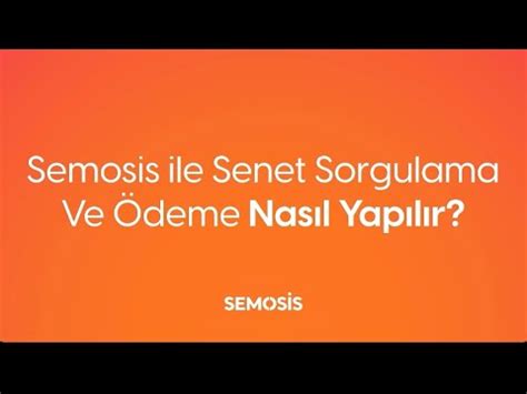 Senet Sepet Borç Sorgulama