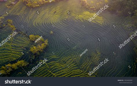 sengkedan | Sn k ton Tuyn dng k ton