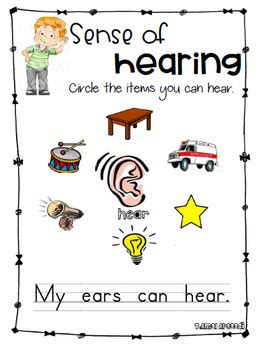 Sense Of Hearing Activity For Kids With A Sense Of Hearing For Preschool - Sense Of Hearing For Preschool
