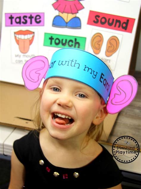 Sense Of Hearing For Preschool   Exploring The Five Senses For Babies Toddlers And - Sense Of Hearing For Preschool