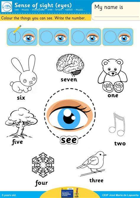 Sense Of Sight Interactive Worksheet Live Worksheets Sense Of Sight Worksheet - Sense Of Sight Worksheet