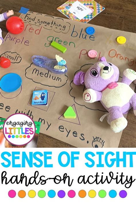 Sense Of Sight Preschool   28 Hands On 5 Senses Activities For Preschool - Sense Of Sight Preschool