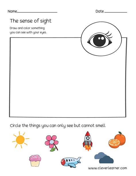 Sense Of Sight Worksheets Sense Of Sight Worksheet - Sense Of Sight Worksheet